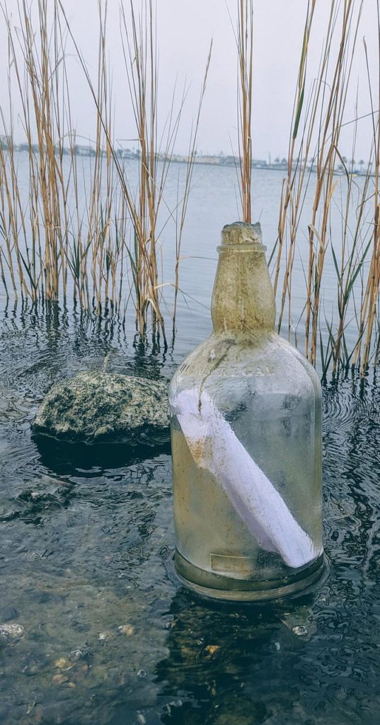 Bouteille en verre debout dans l’eau avec un message roulé à l’intérieur et des roseaux en arrière-plan, symbolisant la guidance ésotérique Résotérique